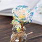 Rose multicolore Galaxy