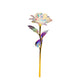 Rose multicolore Galaxy